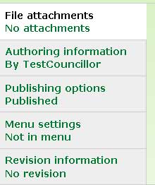 Image of typical additional options at the foot of a content creation page